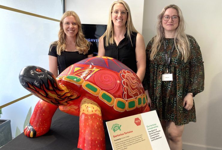 HIGHVERN welcome Sartorius the tortoise